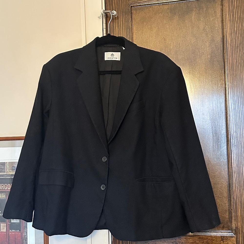 Aritzia Babaton Vogue Blazer size XS
